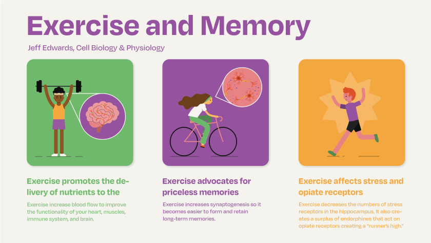cognition and memory health